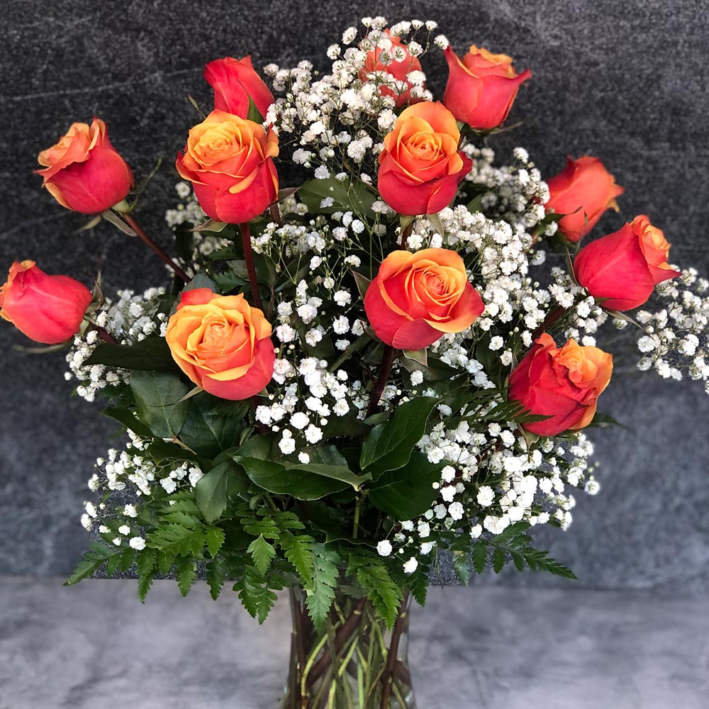 One Dozen Roses (7 Color Options)