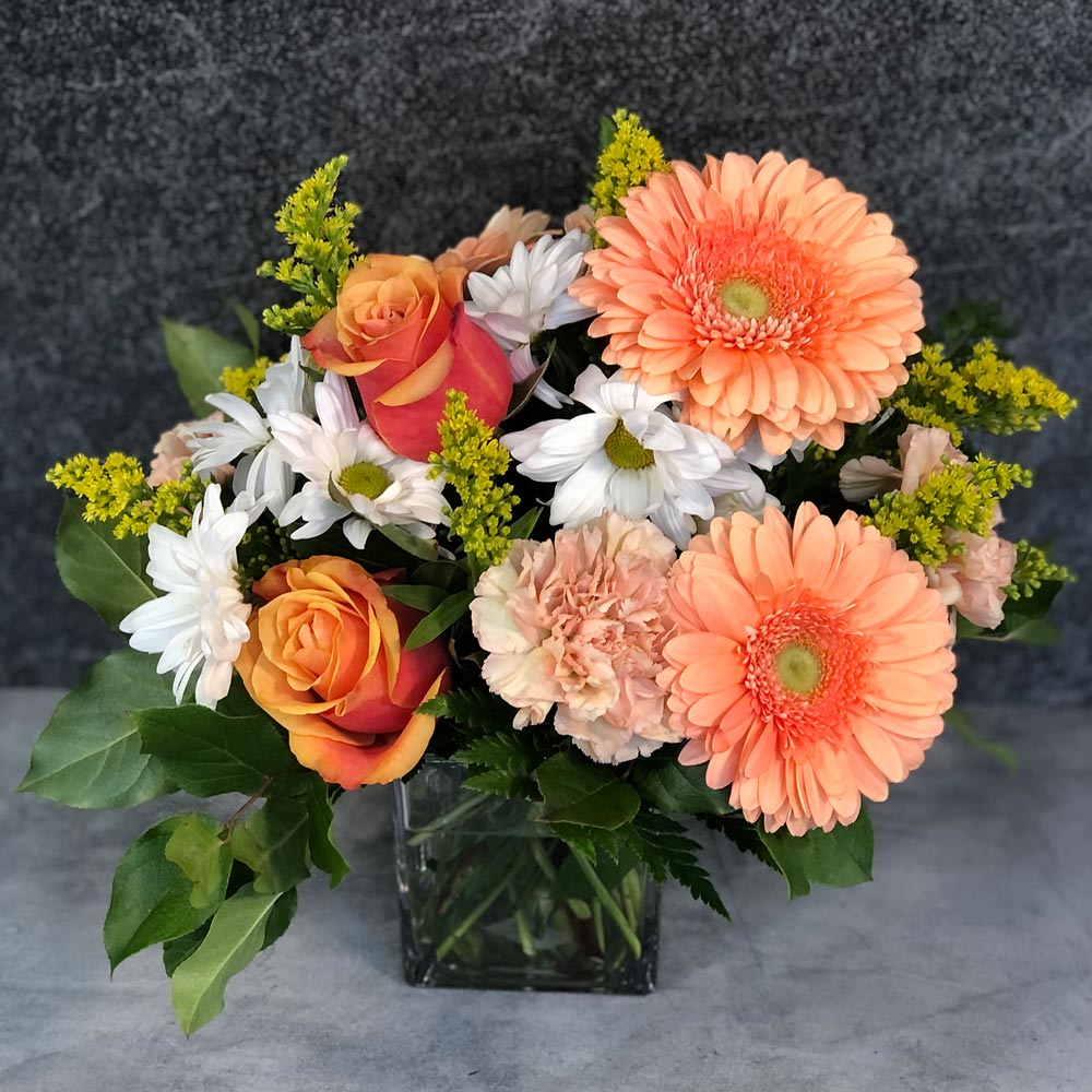 you-re-so-sweet-winter-roses-bouquet-clifton-park-ny-the-plant-hatch
