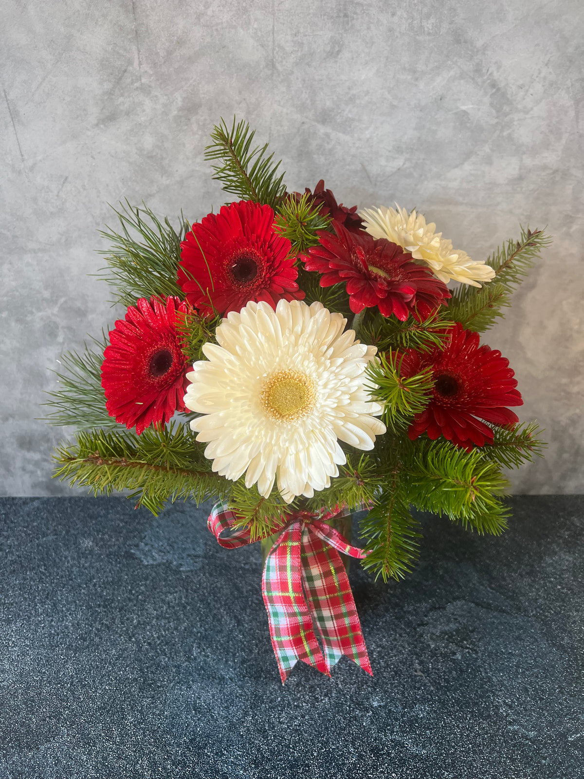 Festive Gerbera Daisies