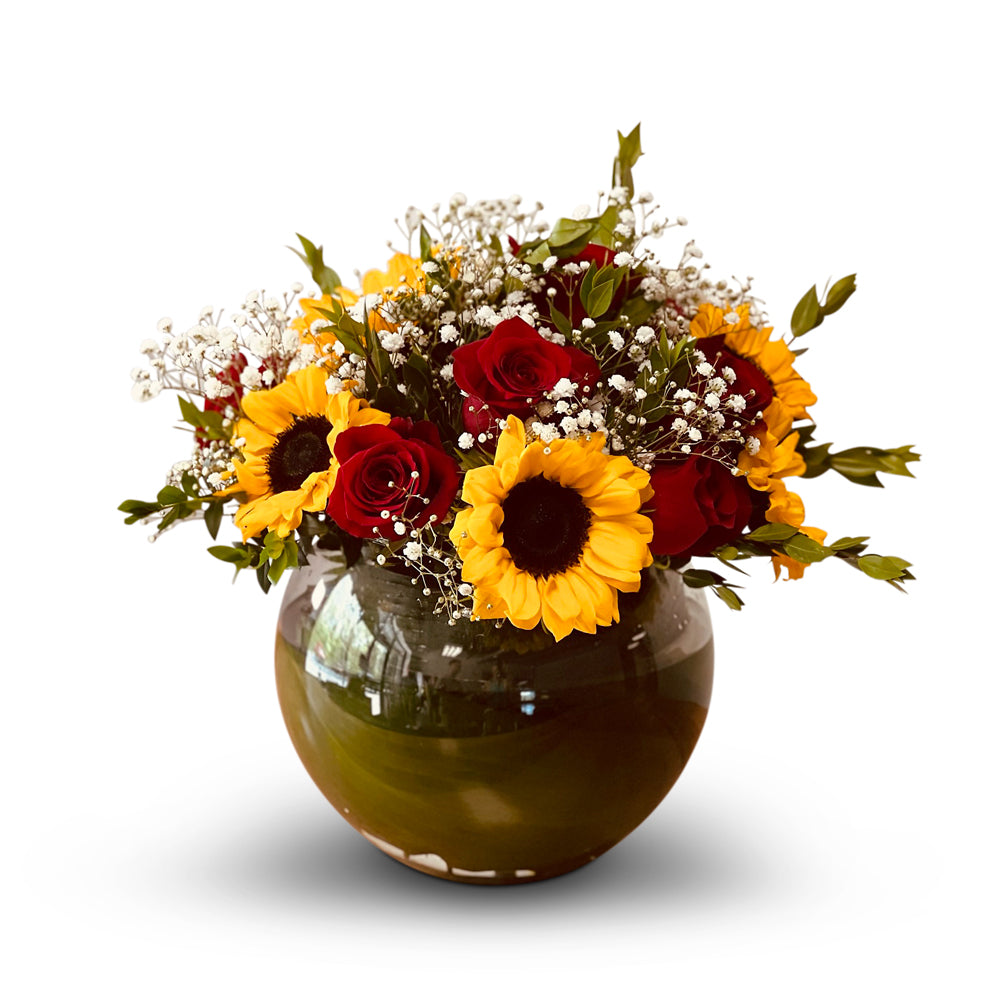 Collections The Plant Hatch