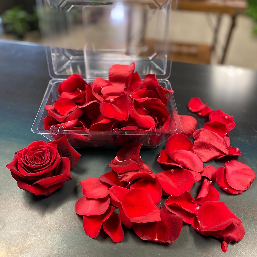red rose petals delivered
